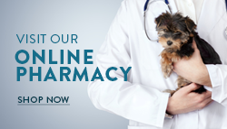 Shop our online vet pharmacy & store